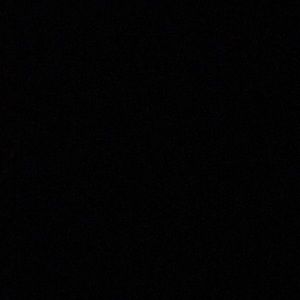 Meet your Posher, Sadie